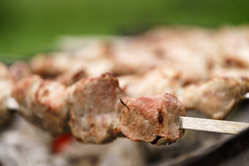 preparing shashlik on a picnic outdoors