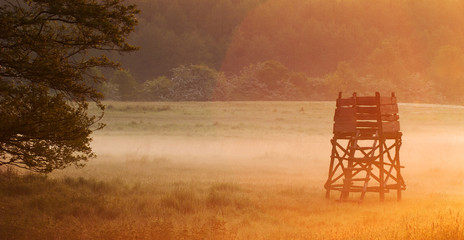 Fototapeta premium Lookout tower for hunting in forest