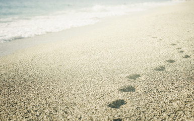 Footprints on the beach