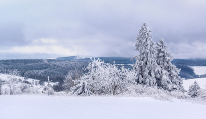 Verschneite B&auml;ume