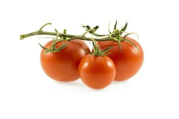 Three tomatoes on white background