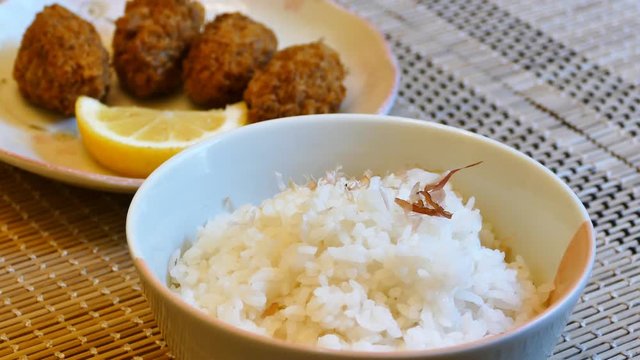 4K video of putting the Dried Skipjack Tuna over the rice to make the traditional Japanese food - Cat Rice