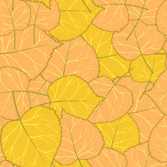 yellow autumn pattern of leaves