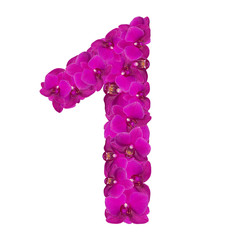 Fototapeta premium Alphabet number nine from orchid flowers isolated on white 