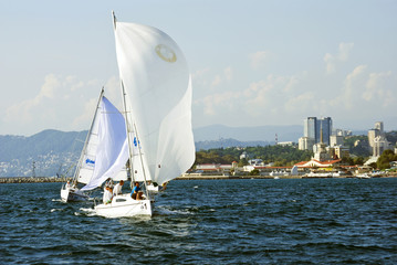 Obraz premium Sailors sail on a yacht along the coast of Sochi