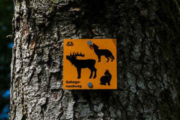 Wegzeichen im bayrischem Wald
