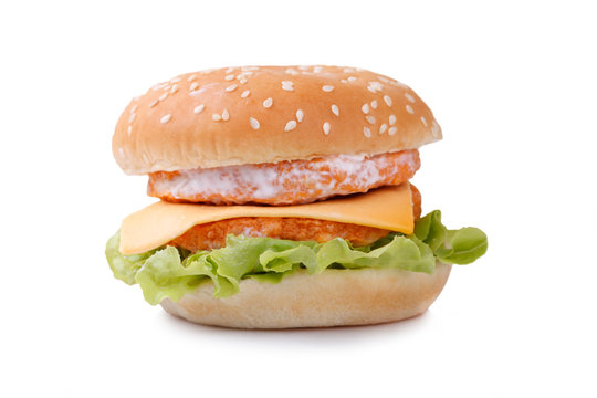 chicken and cheese hamburger on white background