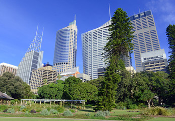 City skyline in Sydney Australia