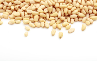 Pine on white background