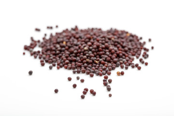 Dark mustard on white background