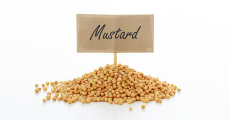 Mustard seeds on a white background
