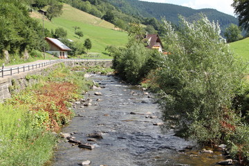 Bachlauf im Schwarzwald