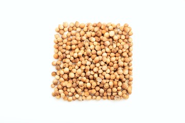 Coriander on white background