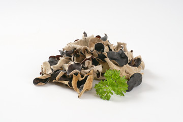 Wood ear mushrooms