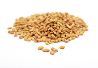 Fenugreek on white background
