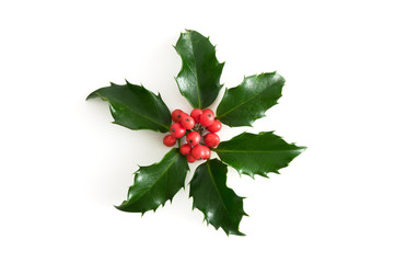 Holly