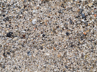 The surface of the sea coast from the wreckage of shells