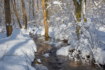 Fototapeta na wymiar The creek in winter forest in Little Carpathian hills - Slovakia