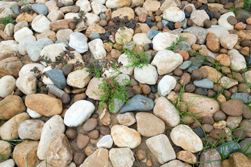 Placed a small stone background.