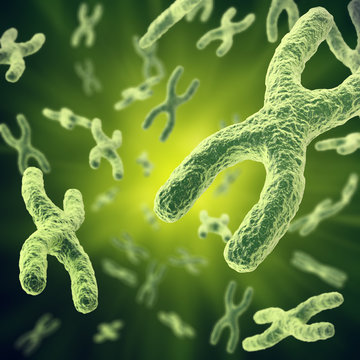 Chromosome with focus effect, human medical symbol for gene therapy or microbiology genetics research. 3d illustration