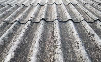 Roof with fungus background.