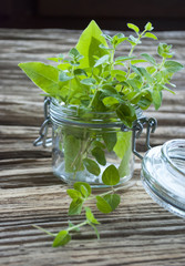 Frische Lorbeerblätter und Majoran - Laurus nobilis / Origanum majorana - im Vorratsglas auf altem Holz / Treibholz Hintergrund, Textfreiraum 