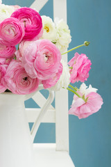 Pink and white ranunculus flowers