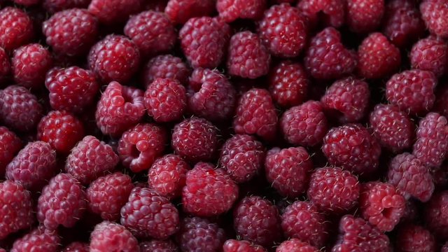 Rotating ripe raspberry. Turning closeup berries. 1920x1080. Full Hd
