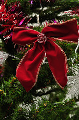 Fototapeta na wymiar Red bow hanging on a Christmas tree