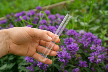 Test tube water in hand, plants in the background.