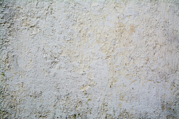 Fototapeta premium gray background texture cement wall