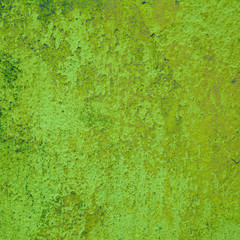 abstract green background texture cement wall
