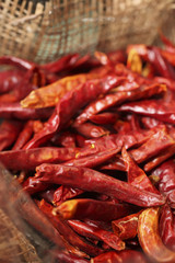 dried Thai red chili pepper