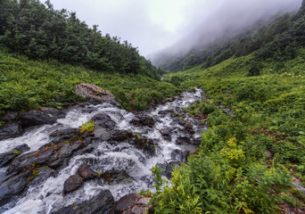 The mountains and the trip to Elbrus with friends.