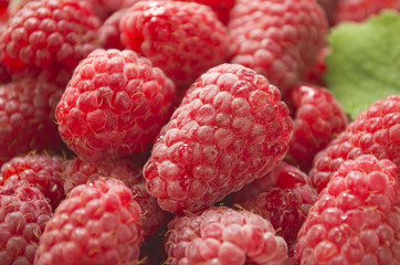 Juicy raspberry close up. Background of summer berries.