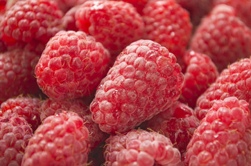 Ripe raspberry close up. Background of summer berries.