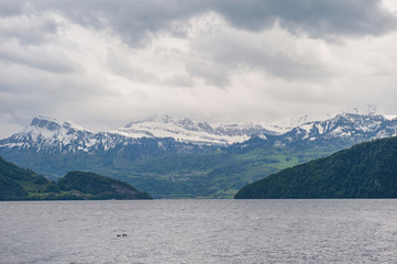 Obraz premium Wonderful restful nature in Switzerland