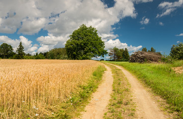 Fototapeta na wymiar Countryside road in summer, Europe