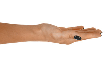 Fototapeta premium Open hand holding anything, adult woman's skin, black manicure. Isolated on white background