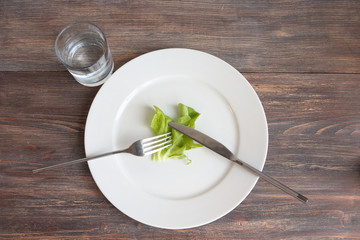 Concept of diet and restriction. Single green leaf of salad on a plate. White background.