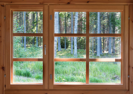 Fototapeta Green sunny view of summer woods in the wooden country window.