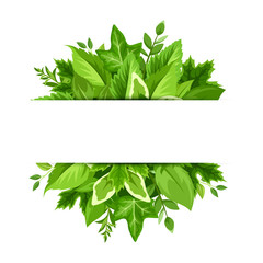 Vector background banner with green leaves.