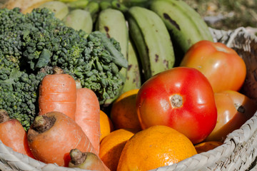 Organic and healty vegetables in a basket