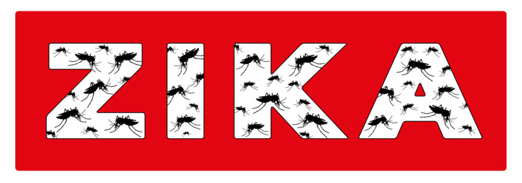 Zika M&uuml;cke Banner
Vektor Illustration isoliert auf wei&szlig;em Hintergrund
