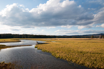 Pelican Creek under cloudy sky at sunset in Yellowstone National Park in Wyoming USA