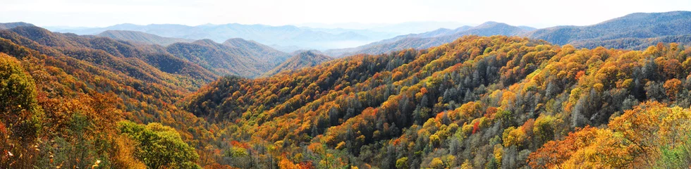 Stof per meter herfstberg en kleurrijk bos © nd700