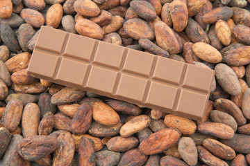 Chocolate with cocoa beans
