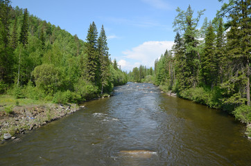 Fototapeta premium Small mountine river in the spurs of East Sayan Mountains.