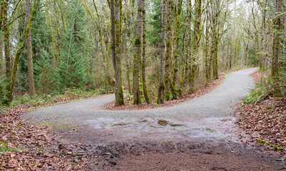 Curved gravel path through the woods, in the winter
