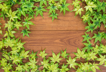 Maple leaf on wood texture